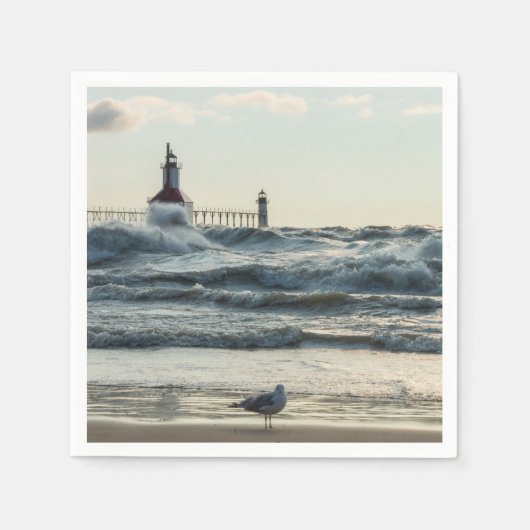 Force Behind Beauty Servet (Voorkant)