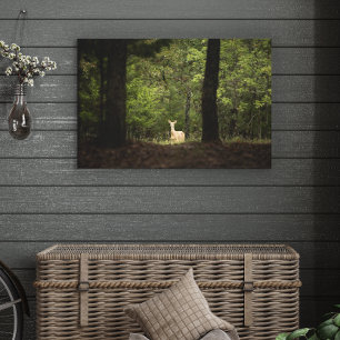Forces A White Tailed Deer in the Woods Canvas Afdruk