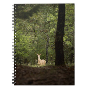 Forces A White Tailed Deer in the Woods Notitieboek