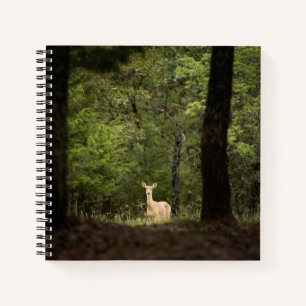 Forces   A White Tailed Deer in the Woods Notitieboek