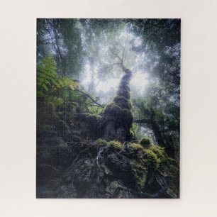 Forces Anaga Rural Park Canary Islands Legpuzzel