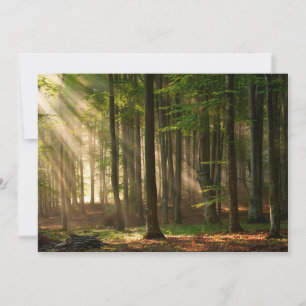Forces Autumn Forest Bedankkaart