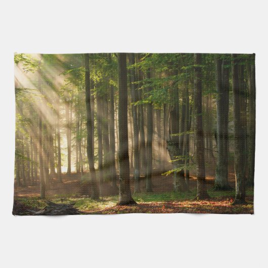 Forces | Autumn Forest Theedoek (Horizontaal)