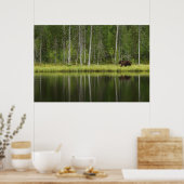 Forces | Bear at Taiga Forest Northern Finland Poster (Keuken)