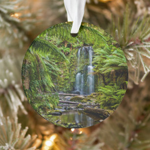 Forces Beauchamp Falls Australia Ornament