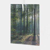 Forces | Black Forest Germany Glas Ornament (Voorkant links)