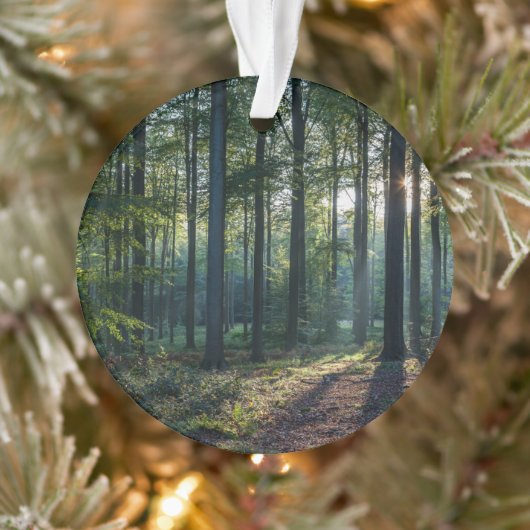 Forces | Black Forest Germany Ornament (Boom)