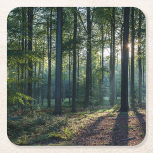 Forces   Black Forest Germany Vierkante Kartonnen Onderzetter