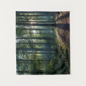 Forces | Black Forest Germany Wandkleed (Voorkant)