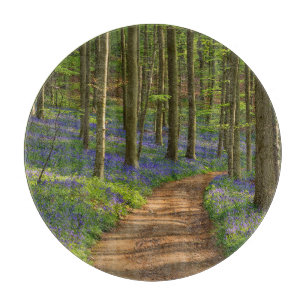 Forces Bluebell Forest in België Snijplank