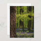 Forces Bluebells in België Briefkaart (Voorkant / Achterkant)