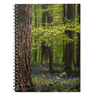 Forces Bluebells in België Notitieboek