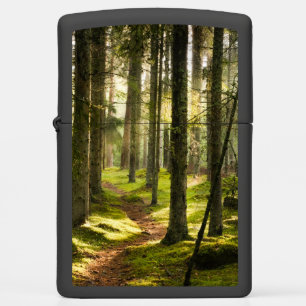 Forces Boreal Forest Sweden