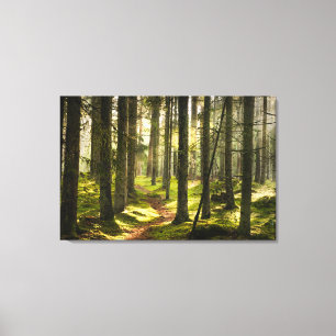 Forces Boreal Forest Sweden Canvas Afdruk