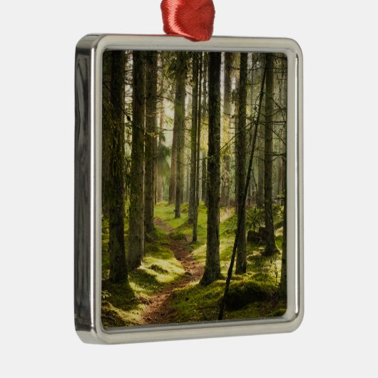Forces | Boreal Forest Sweden Metalen Ornament (Rechts)