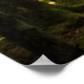 Forces | Boreal Forest Sweden Poster (Hoek)