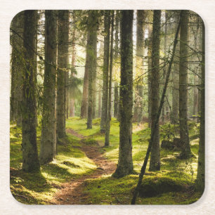 Forces   Boreal Forest Sweden Vierkante Kartonnen Onderzetter
