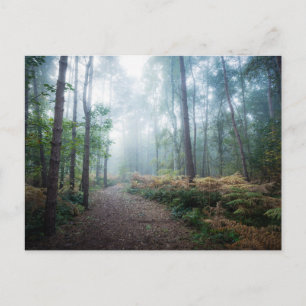 Forces Dark Foggy Woods Norfolk UK Briefkaart