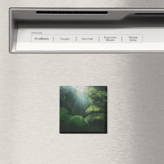 Forces | Ferns in Rainforest Magneet (Insitu (Vaatwasser))