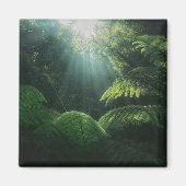 Forces | Ferns in Rainforest Magneet (Voorkant)