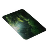 Forces | Ferns in Rainforest Magneet (Rechterzijde)