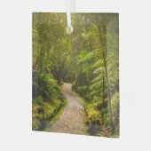 Forces | Footpath Into Forest Glas Ornament (Voorkant links)