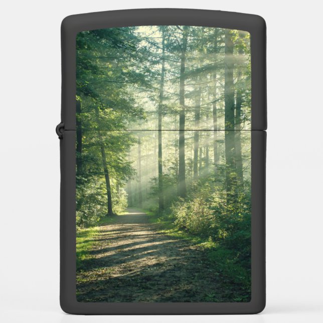 Forces | Forest Path Hamburg Germany (Voorkant)