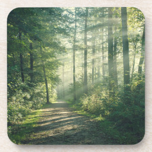 Forces Forest Path Hamburg Germany Bier Onderzetter