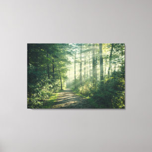 Forces Forest Path Hamburg Germany Canvas Afdruk