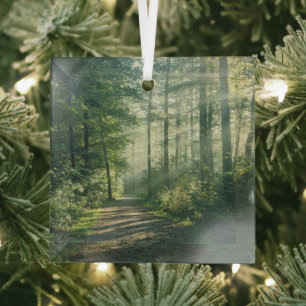Forces Forest Path Hamburg Germany Glas Ornament