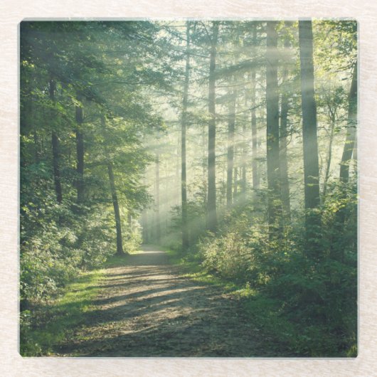 Forces | Forest Path Hamburg Germany Glazen Onderzetter (Voorkant)