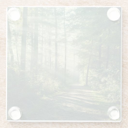 Forces | Forest Path Hamburg Germany Glazen Onderzetter (Achterkant)