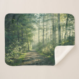 Forces Forest Path Hamburg Germany Sherpa Deken