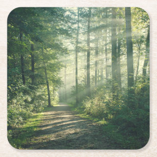 Forces Forest Path Hamburg Germany Vierkante Kartonnen Onderzetter