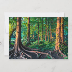 Forces Greenery & Woodland Bedankkaart