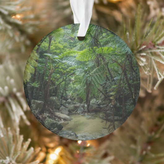 Forces Iriomote Ishigaki National Park Ornament (Boom)