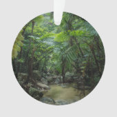 Forces Iriomote Ishigaki National Park Ornament (voorkant)