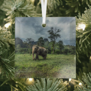 Forces Kao Sok National Park Glas Ornament