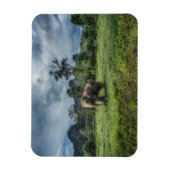 Forces Kao Sok National Park Magneet (Verticaal)