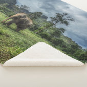 Forces Kao Sok National Park Sherpa Deken (3/4)