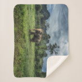 Forces Kao Sok National Park Sherpa Deken (Voorkant)