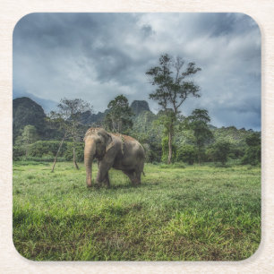 Forces Kao Sok National Park Vierkante Kartonnen Onderzetter