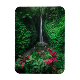 Forces Leke Leke Waterfalls in Bali Magneet