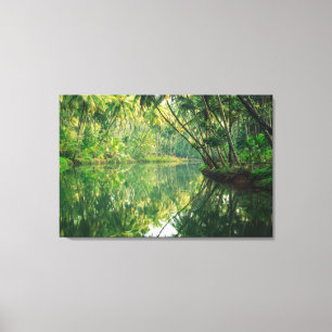 Forces Mangrove Forest Canvas Afdruk