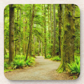 Forces Olympic National Park Bier Onderzetter (Voorkant)