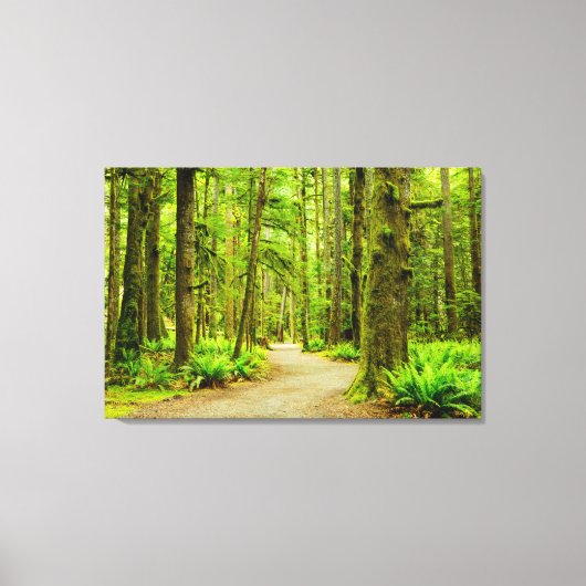 Forces Olympic National Park Canvas Afdruk (Voorkant)