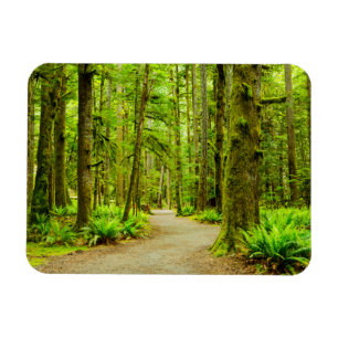 Forces Olympic National Park Magneet