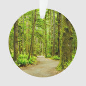 Forces Olympic National Park Ornament (voorkant)