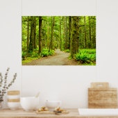 Forces Olympic National Park Poster (Keuken)