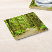 Forces Olympic National Park Vierkante Kartonnen Onderzetter (Schuin)